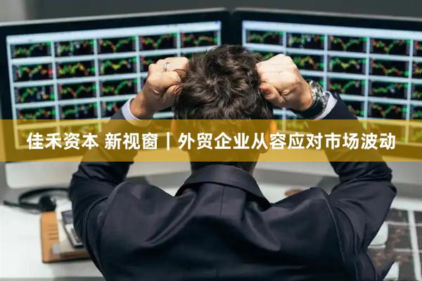 佳禾资本 新视窗｜外贸企业从容应对市场波动
