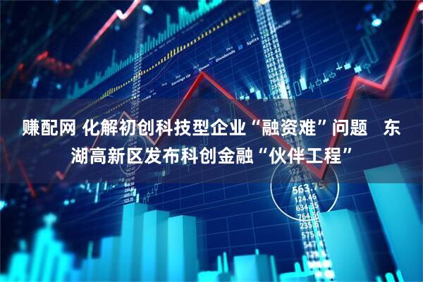 赚配网 化解初创科技型企业“融资难”问题   东湖高新区发布科创金融“伙伴工程”