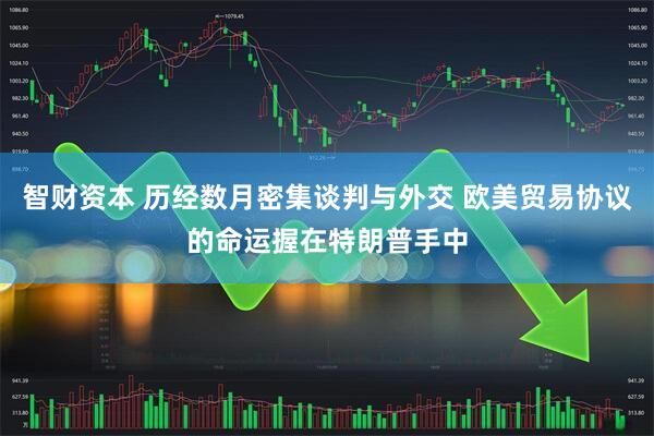 智财资本 历经数月密集谈判与外交 欧美贸易协议的命运握在特朗普手中