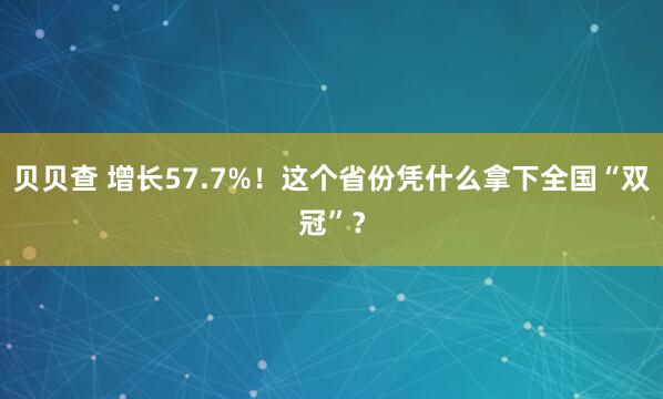 贝贝查 增长57.7%！这个省份凭什么拿下全国“双冠”？