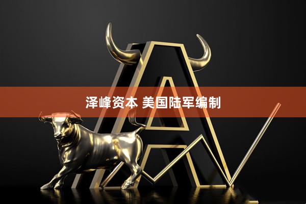 泽峰资本 美国陆军编制
