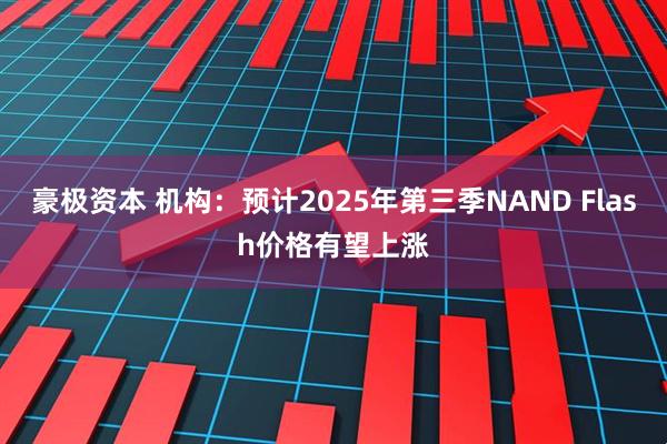 豪极资本 机构：预计2025年第三季NAND Flash价格有望上涨